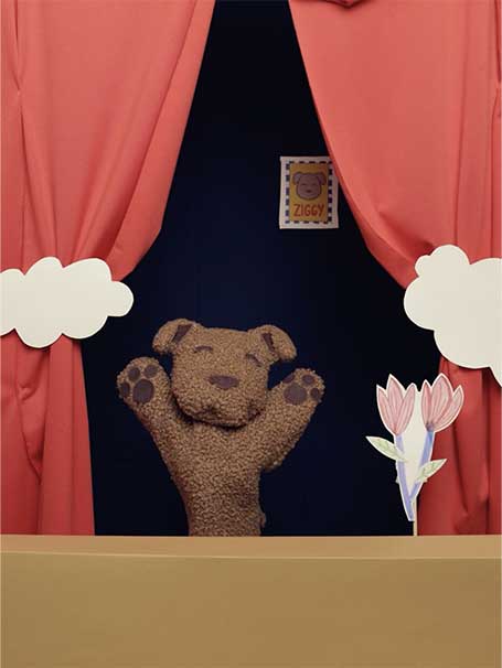 Ziggy: o “cãopanheiro” que ajuda os mais pequenos a dormir