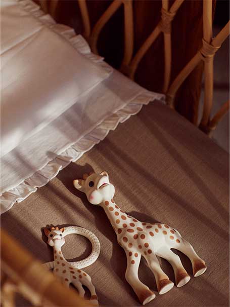 5 dicas para preparar o Babyshower ideal