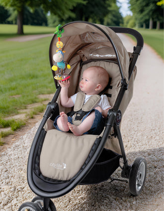 Clip Dingly Playgro