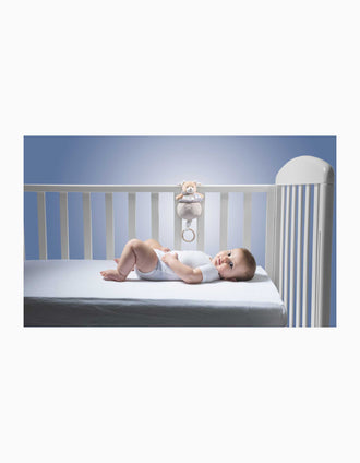 Caixa De Música Ursinho Doudou Chicco 0M+