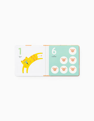 Accordion Book The Numbers Edicare 3M+