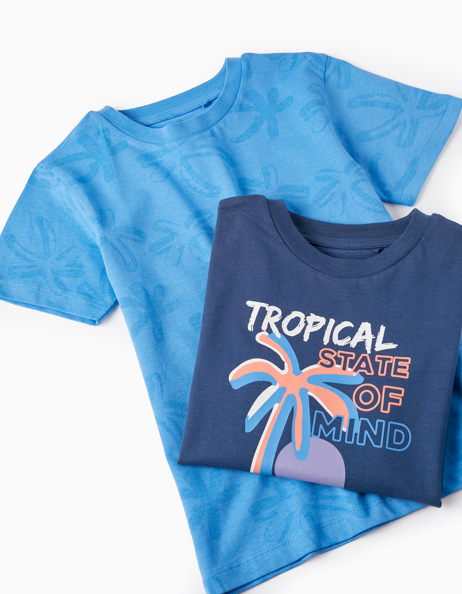 2 Cotton T-shirts for Boys 'Tropical', Blue