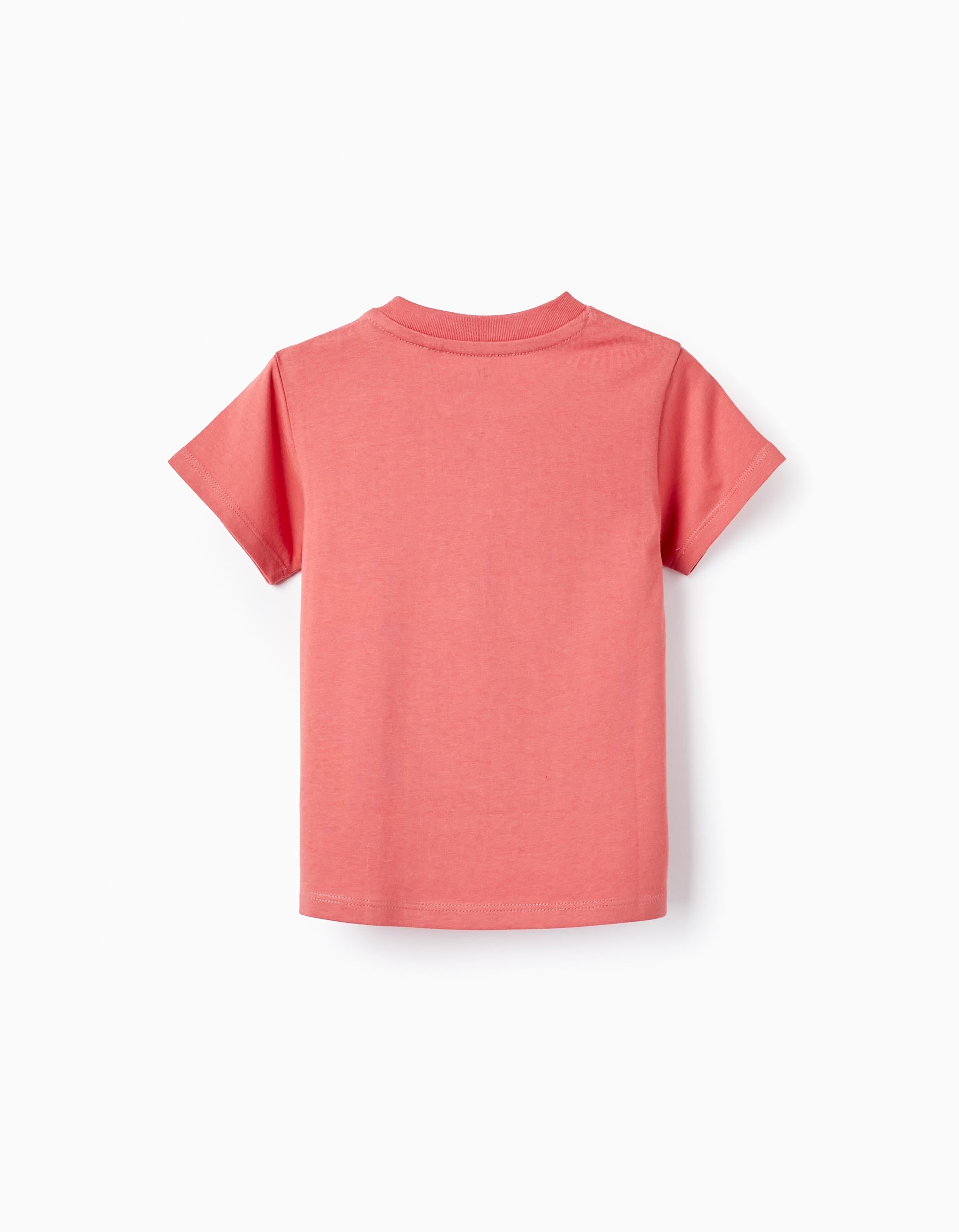 Cotton T-shirt for Baby Boys 'Maracas', Brick Red