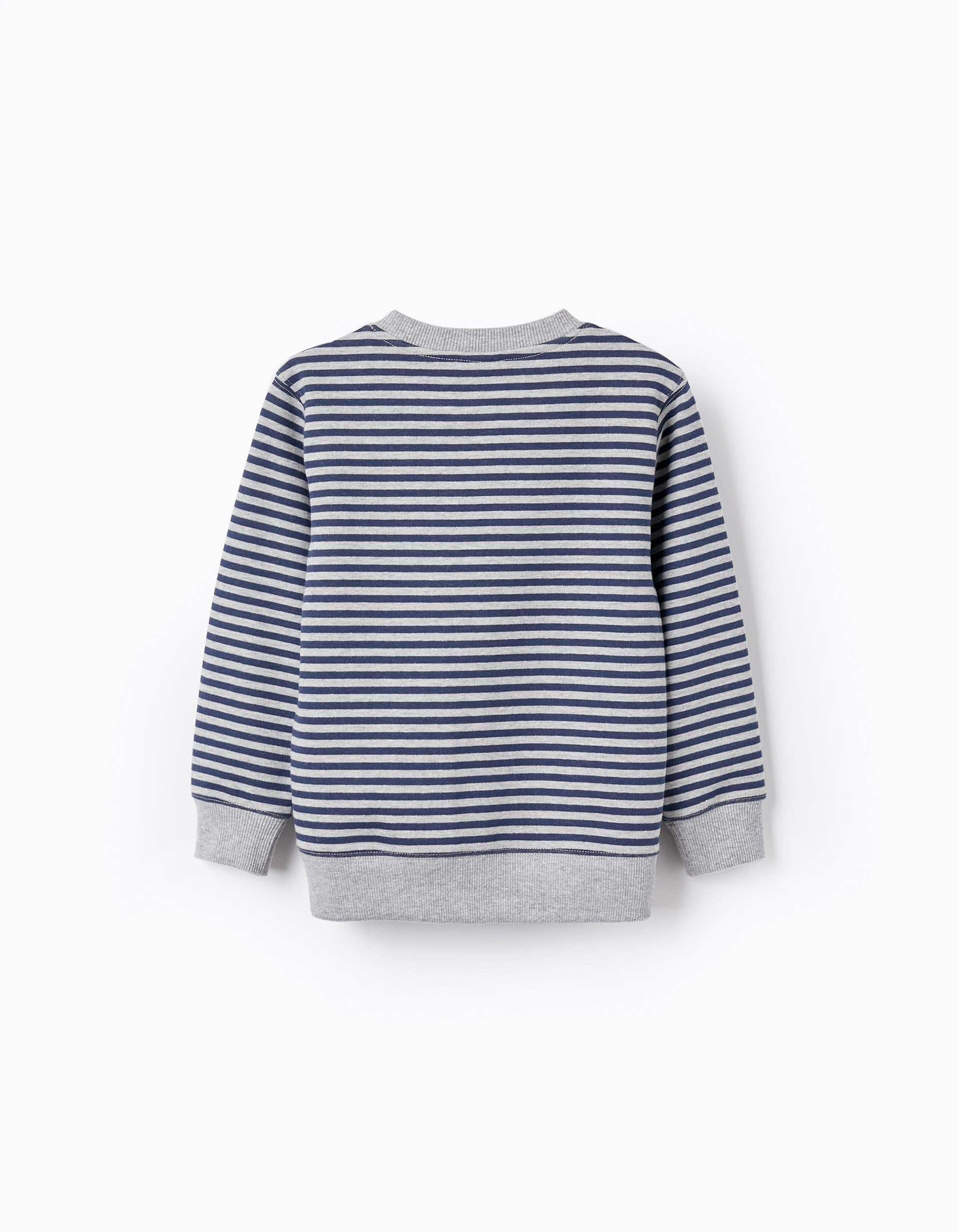 Striped Sweatshirt for Boys 'Birds', Dark Blue/Grey