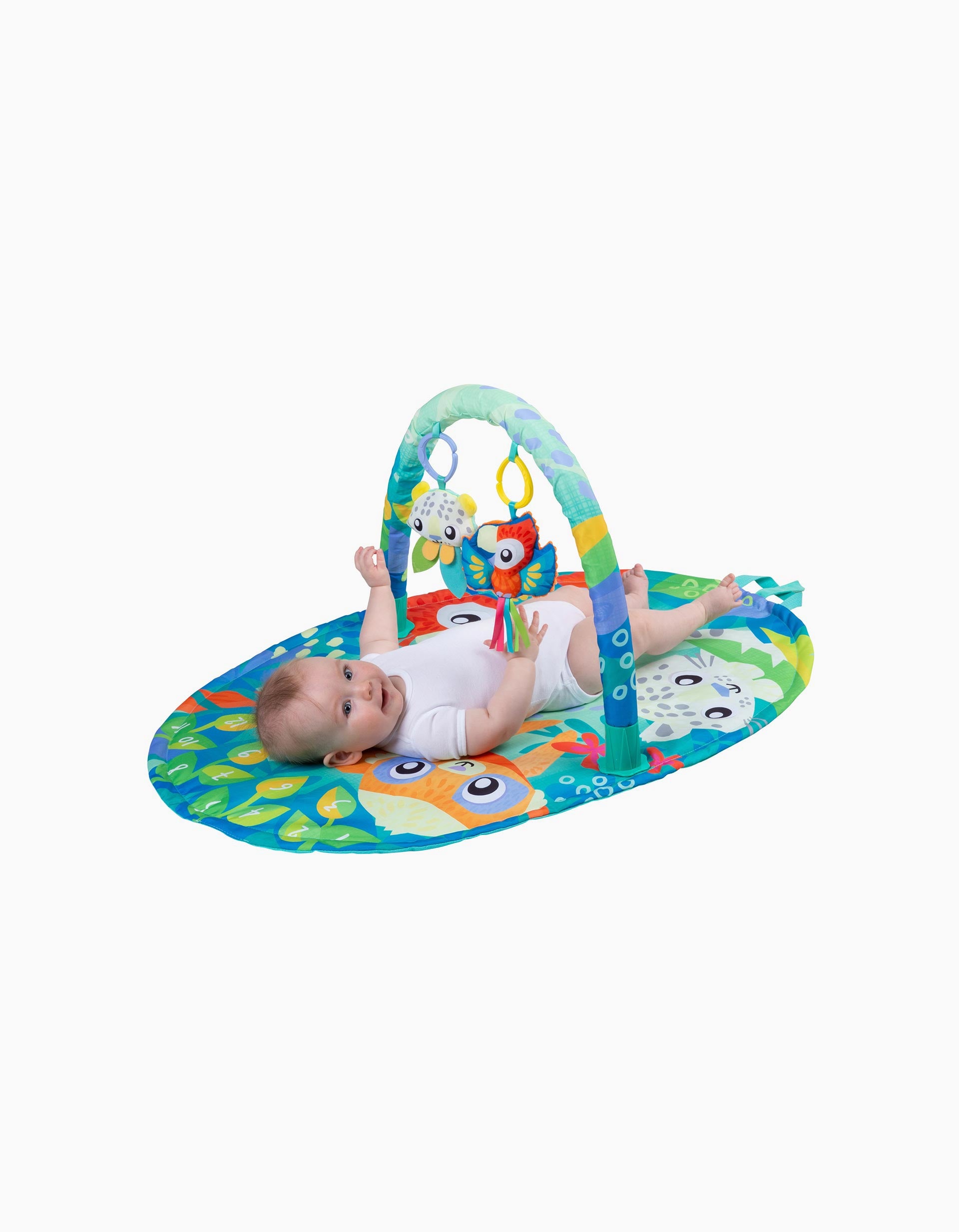 Mighty Milestones Playgro Activity Mat 0M+