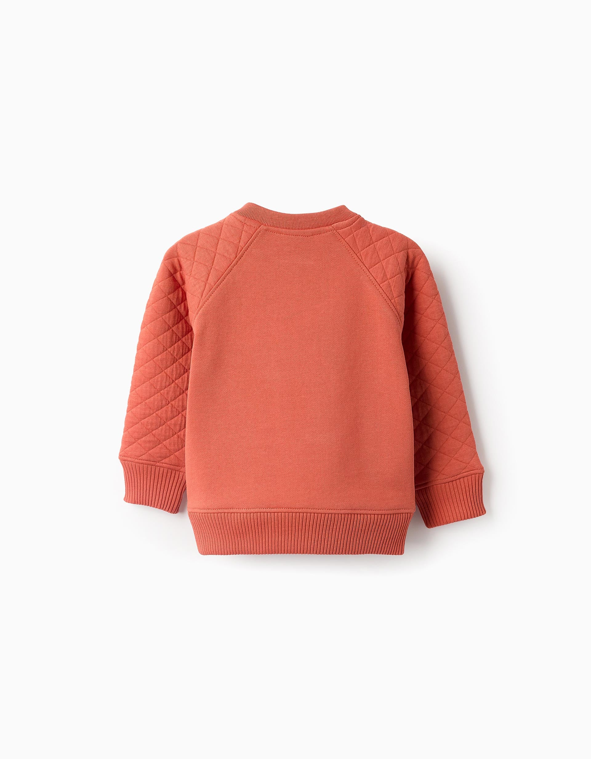 Padded-Sleeves Sweatshirt for Baby Boys 'P', Orange