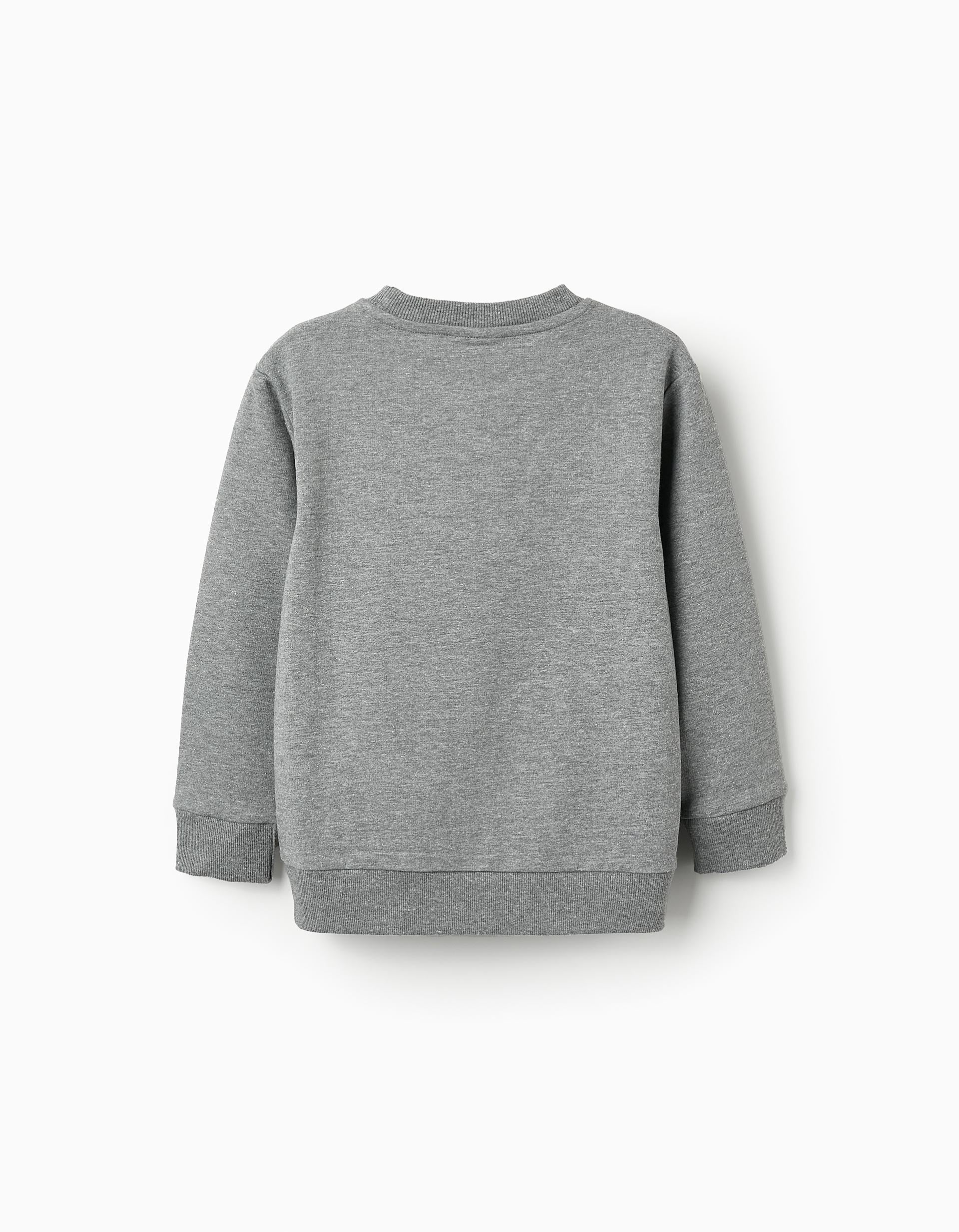 Sweatshirt for Boys 'Sonic', Grey