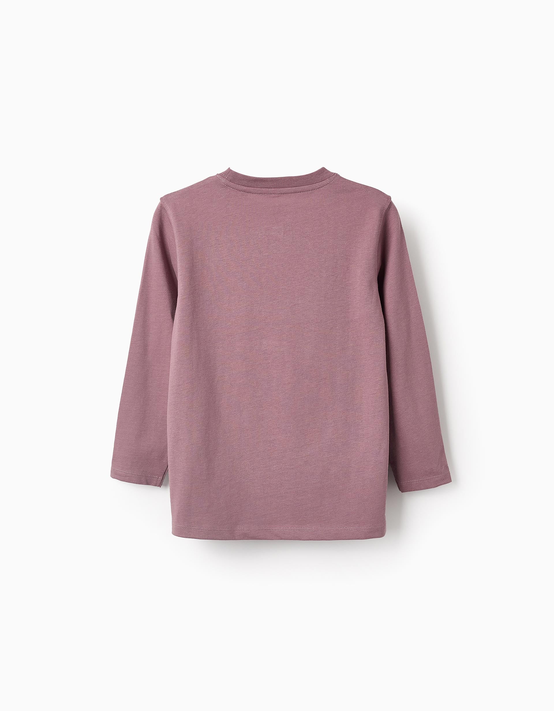 Long-sleeved T-shirt for Boys 'Railway', Purple