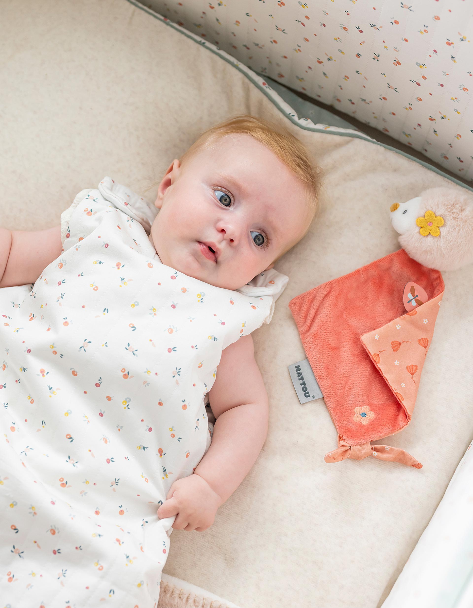 Nattou Mila, Lana und Zoë Aktivitätenkuscheltier Zoë der Igel Nattou Mila, Lana und Zoë Aktivitätenkuscheltier Zoë der Igel