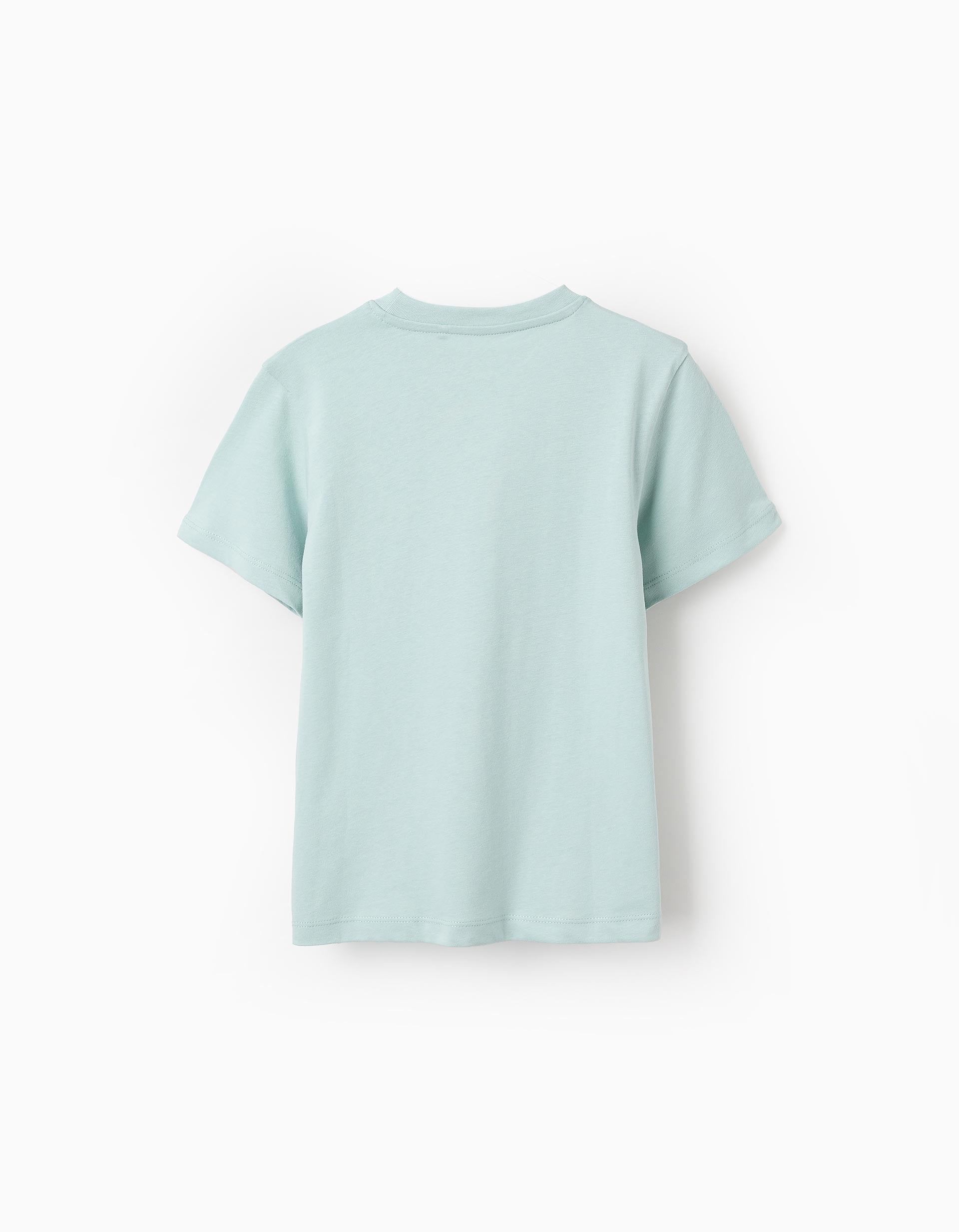 Cotton T-shirt for Boys 'Landscape', Aqua Green