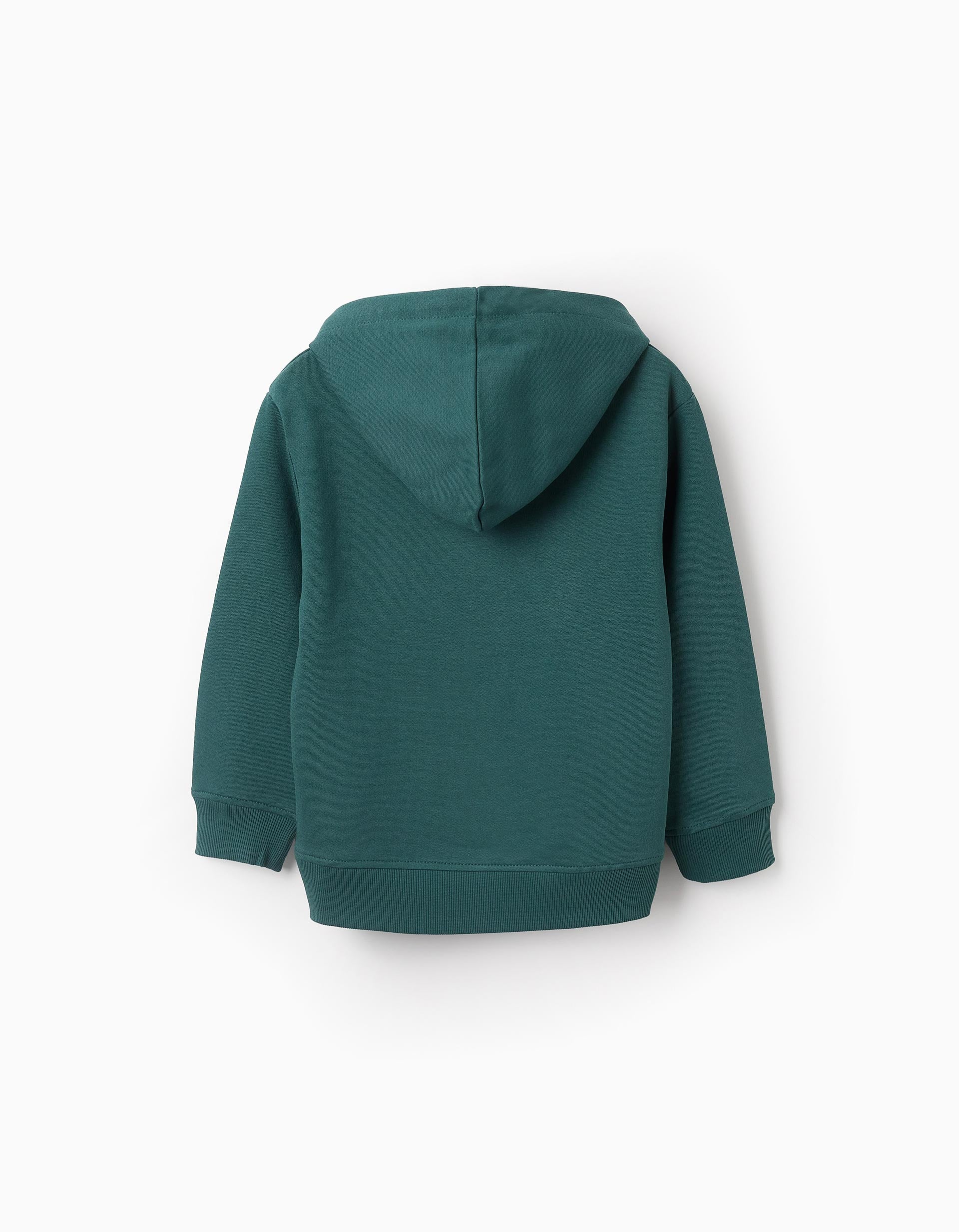 Hooded Sweatshirt for Boys 'ZY', Green