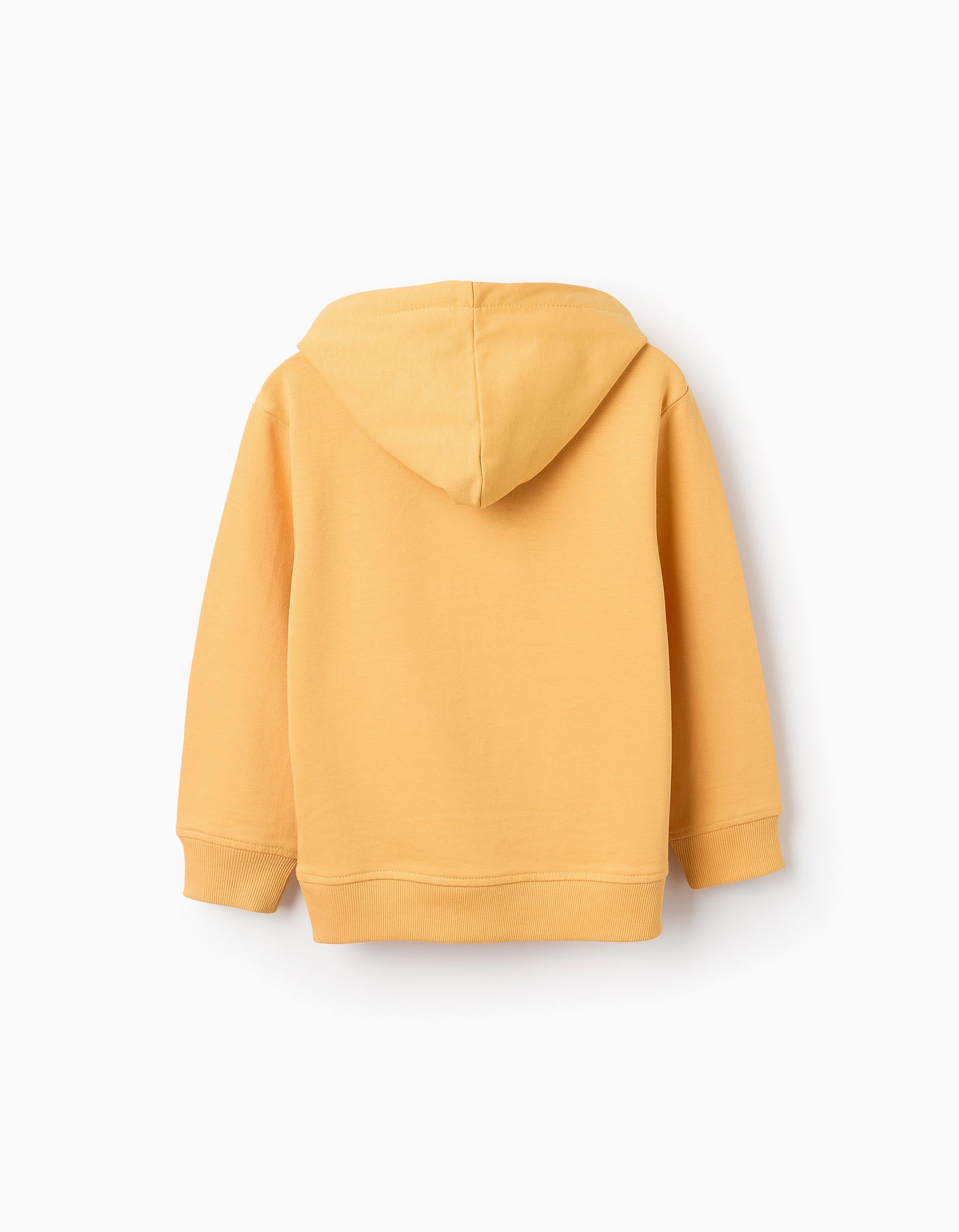 Hooded Sweatshirt for Boys 'ZY', Yellow