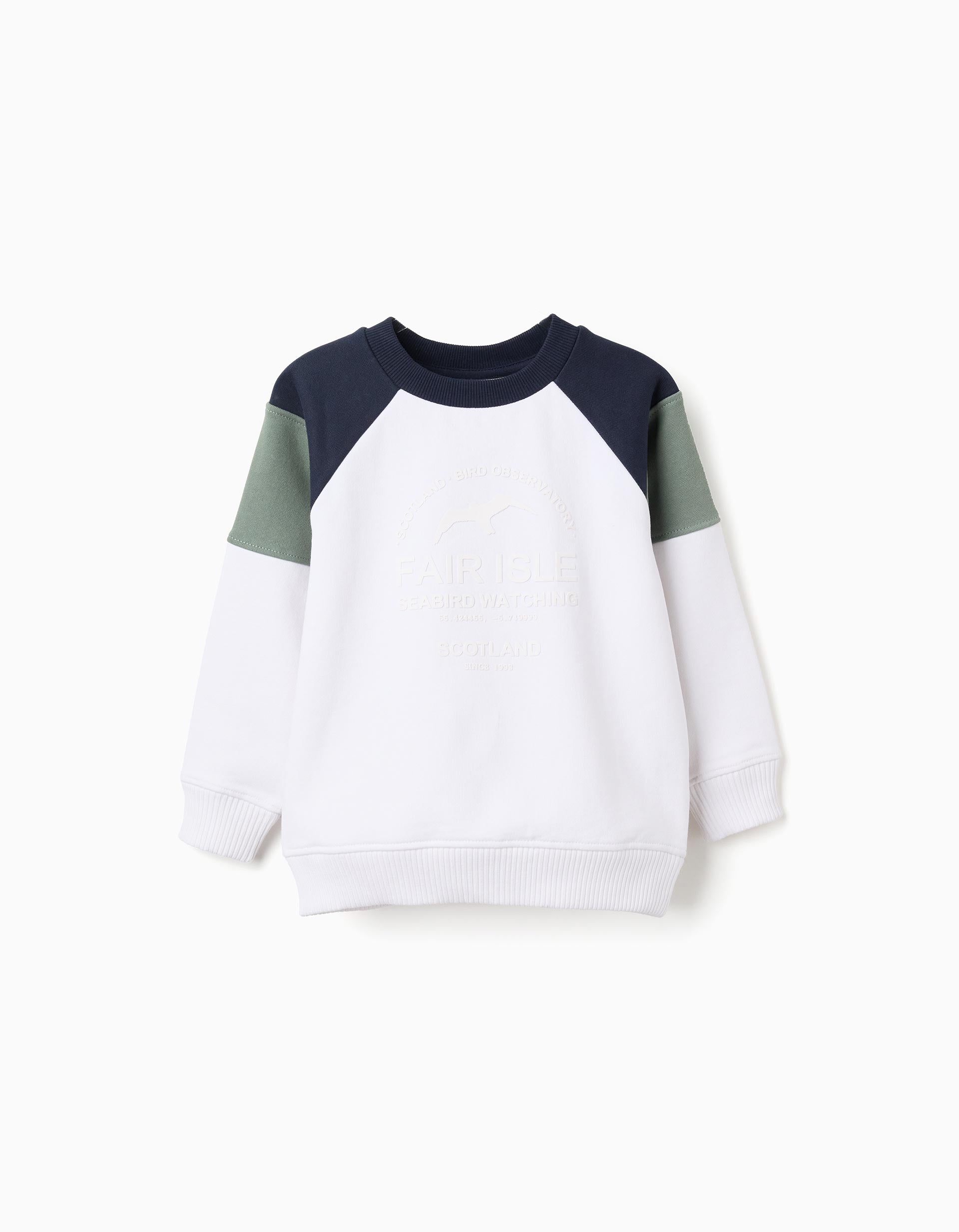 Brushed sweatshirt with contrast sleeves for boys, multicolour