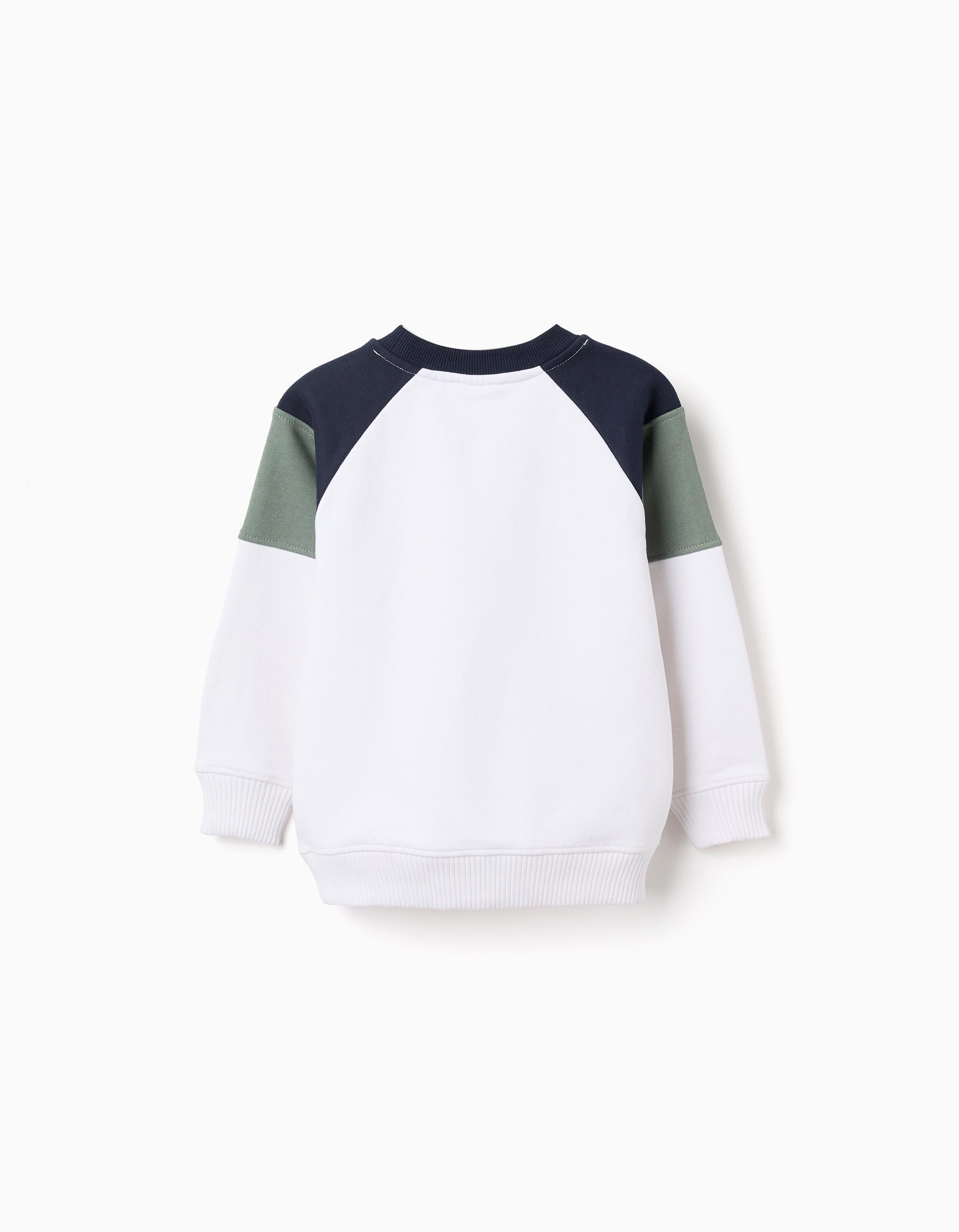 Brushed sweatshirt with contrast sleeves for boys, multicolour