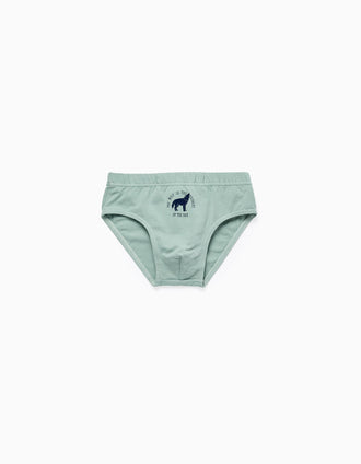 Pack 5 Cuecas para Menino 'Lobos & Ursos', Multicolor