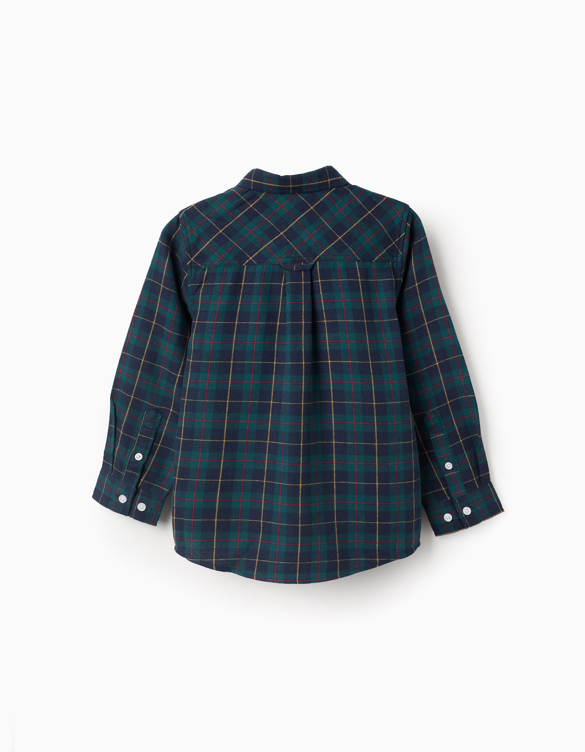Flannel Shirt with Check for Boys 'B&S', Green/Blue