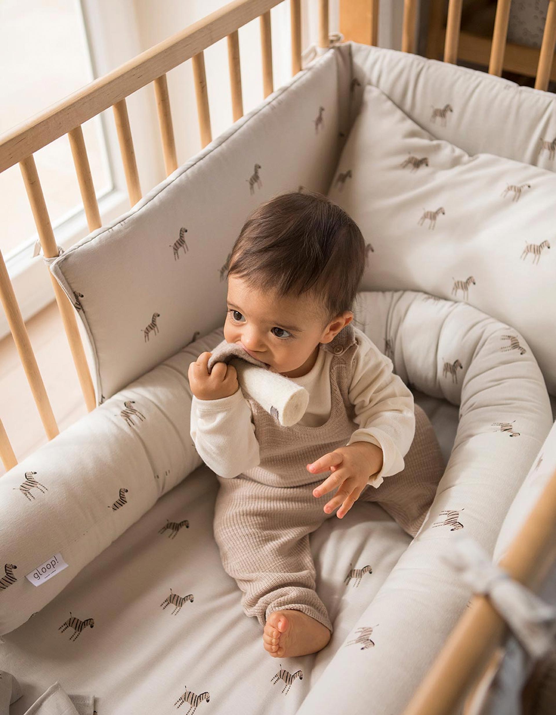 Nido Reductor Gloop!, Zebra