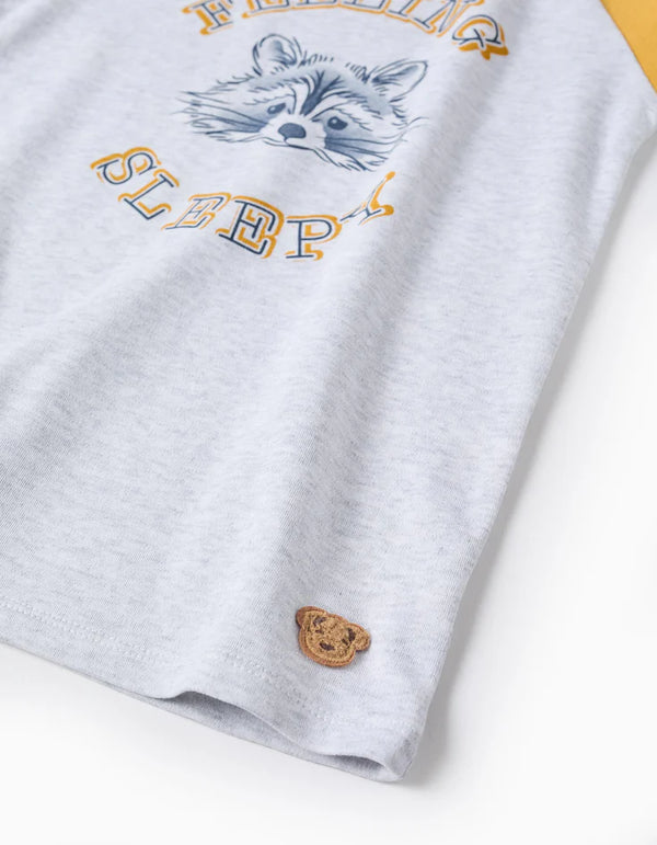 Ziggy: o “cãopanheiro” que ajuda os mais pequenos a dormir