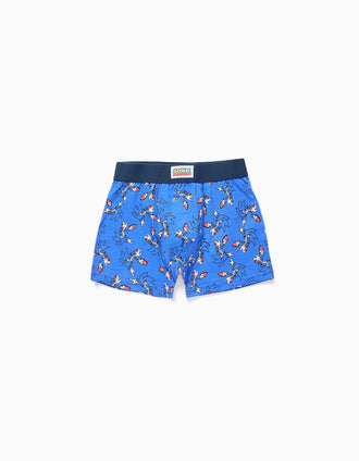 Pack de 4 Boxers para Menino 'Sonic', Azul/Cinza