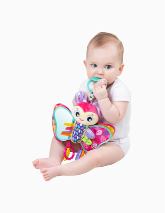 Activity Friend Blossom Butterfly Playgro 0M+