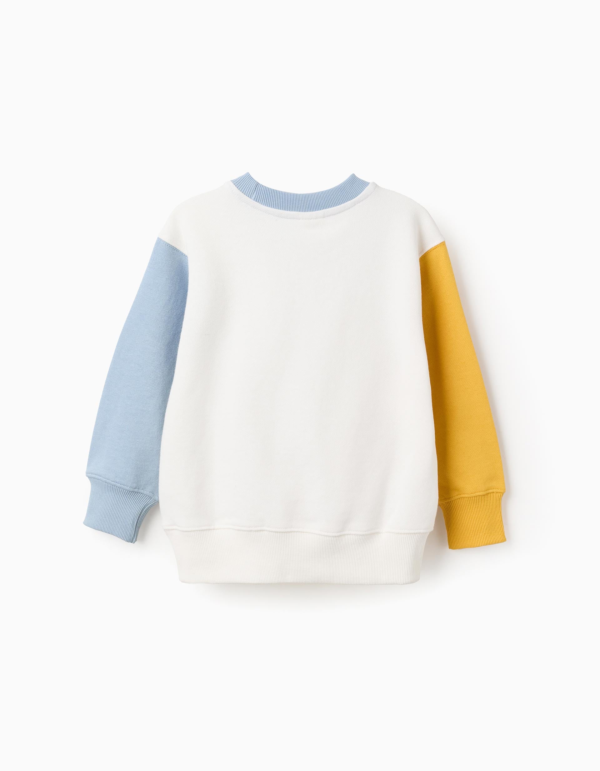 Cotton sweatshirt with colour block and print for boys, multicolour