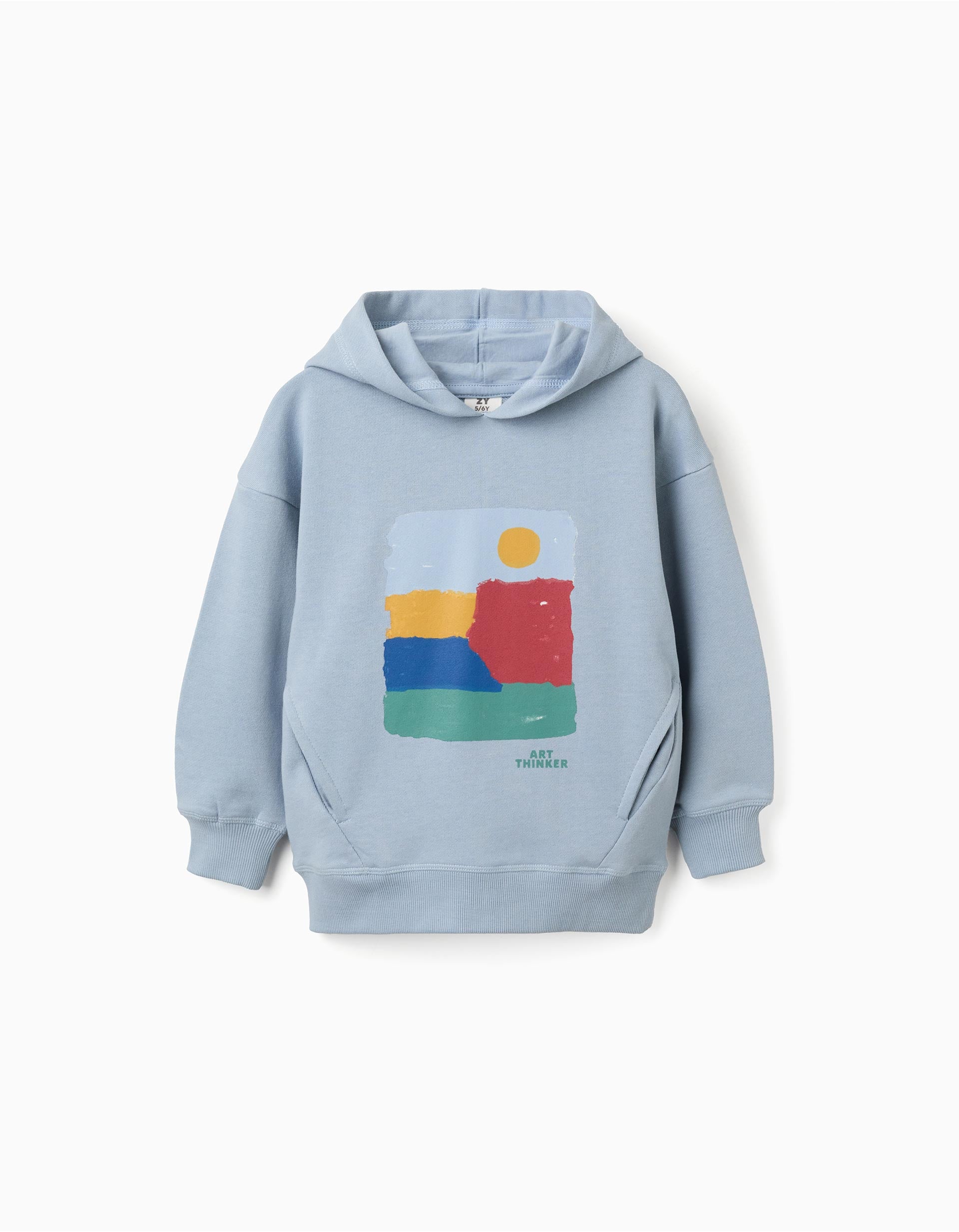 Cotton hooded sweatshirt with Art Thinker print for boys, light blue