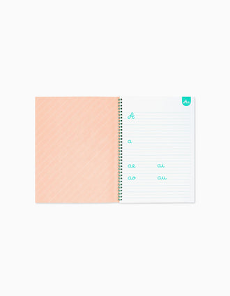 Calligraphy Book Edicare 5Y+