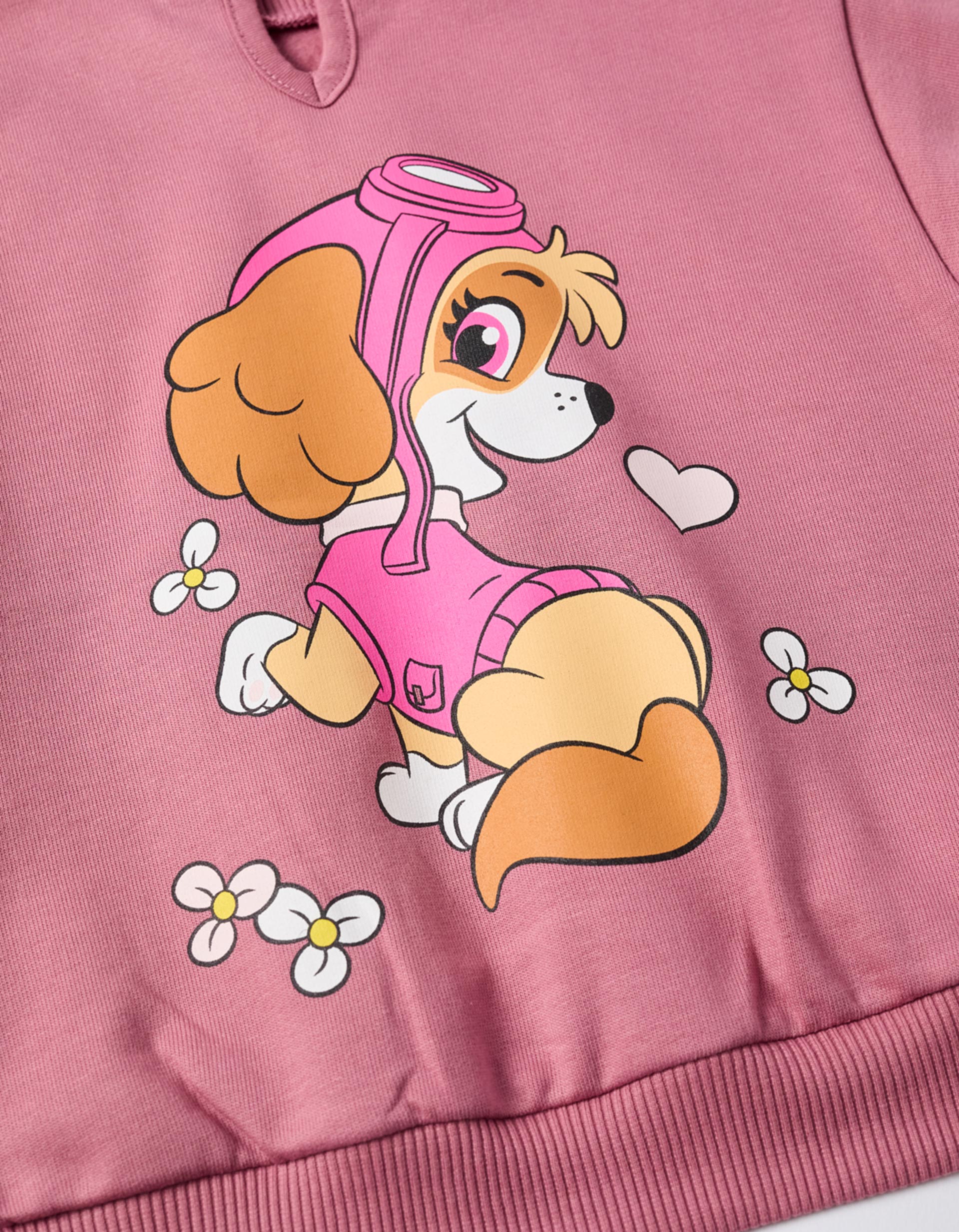 Brushed sweatshirt with Skye print for baby girls, dark pink