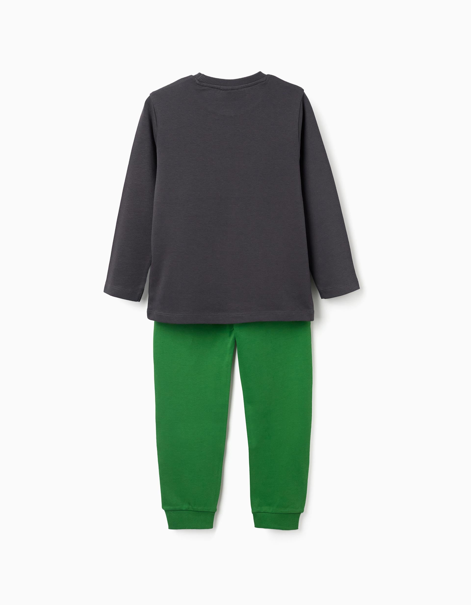 Long sleeve cotton pyjamas with Minecraft print for boys, grey/green