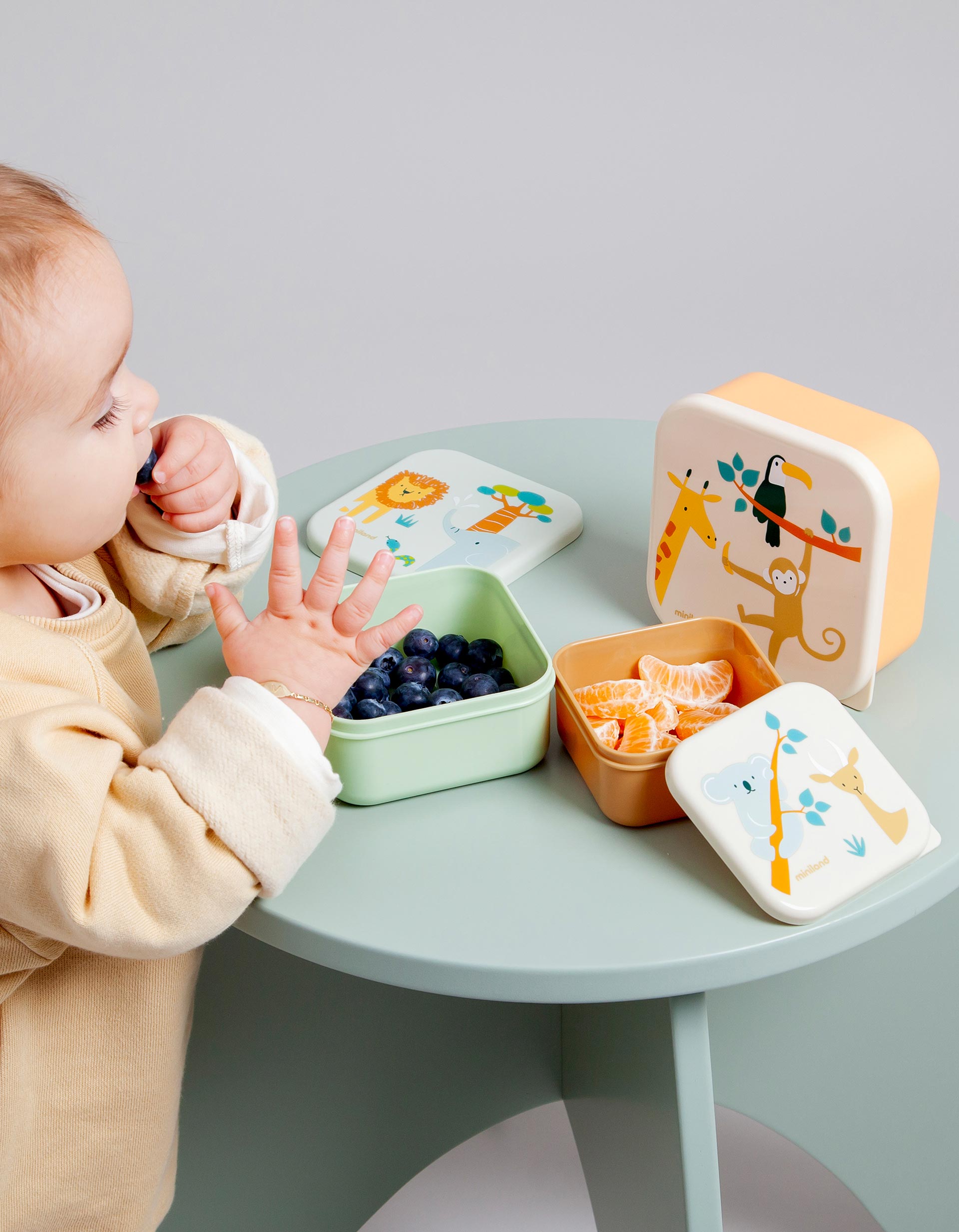 Set of 3 Snackboxes Jungle by Miniland