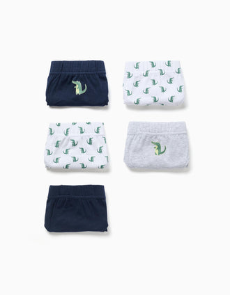 Pack de 5 cuecas com estampados de crocodilo para menino, multicolor