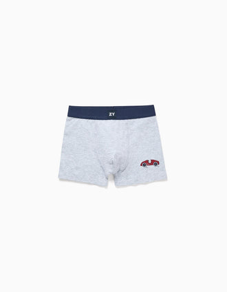 Pack of 4 cotton boxer shorts with car prints for boys, multicolour