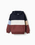 Hooded fleece sweatshirt with colour block for boys, multicolour