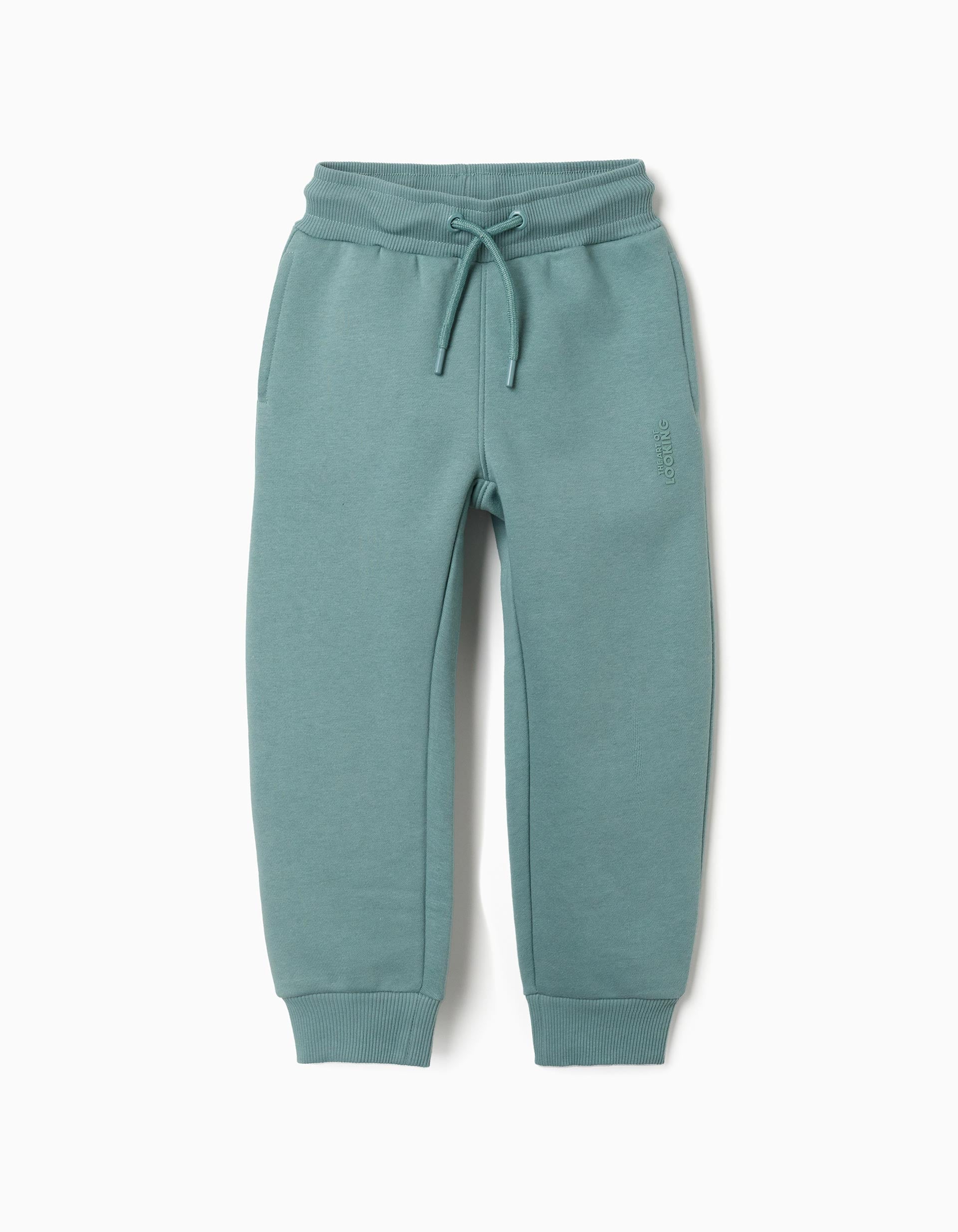 Slim fit brushed joggers with print for boys, blue-green