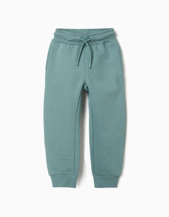 Slim fit brushed joggers with print for boys, blue-green
