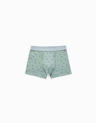 Pack of 4 cotton boxer shorts with dinosaur prints for boys, multicolour