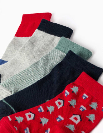Pack of 5 pairs of fantasy socks for baby boys, green/blue/grey/red