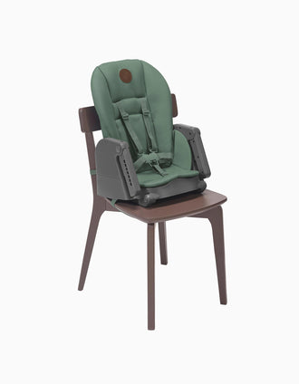 Cadeira de Refeição Minla, Maxi Cosi, Beyond Green