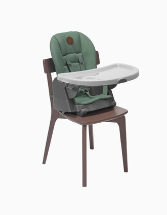 Cadeira de Refeição Minla, Maxi Cosi, Beyond Green