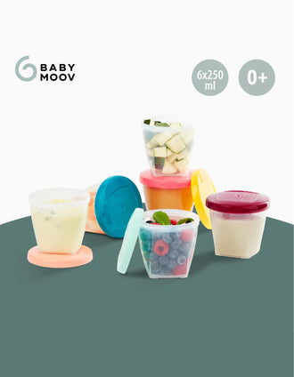 Pack de 6 Recipientes de 250 Ml Babymoov