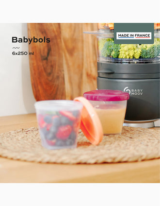 Pack de 6 Recipientes de 250 Ml Babymoov
