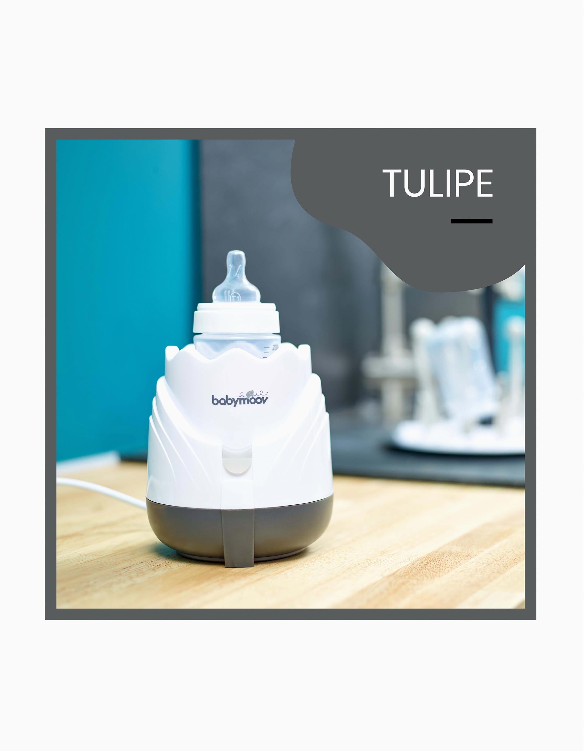 Calentabiberones Tulip Babymoov
