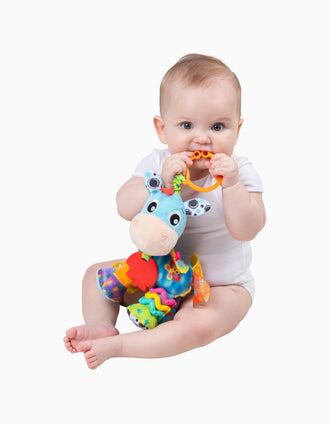 Activity Friend Clip Clop Playgro 0M+