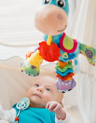Activity Friend Clip Clop Playgro 0M+