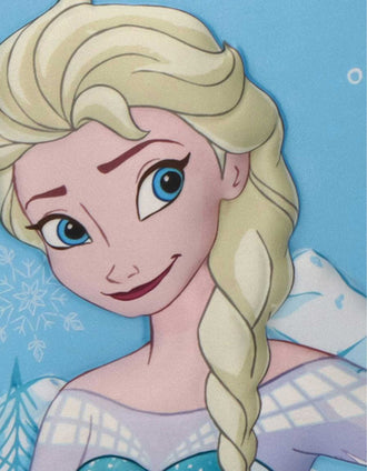 Insulated lunchbox Disney Frozen for babies and children, blue/pink