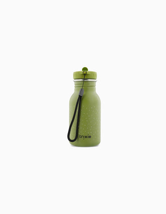 Insulated Bottle Mr. Dino 350 ml Trixie, Green