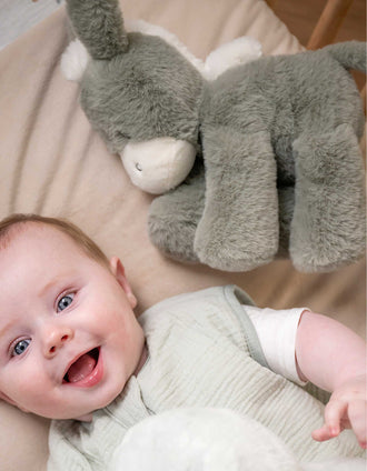 Burro de Peluche Loulou Nattou 0M+, Verde