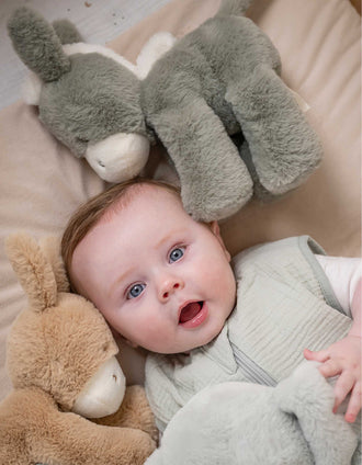 Burro de Peluche Loulou Nattou 0M+, Verde