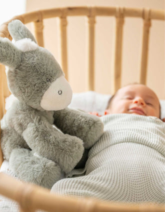 Burro de Peluche Loulou Nattou 0M+, Verde