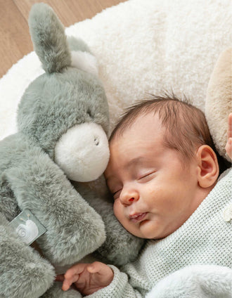 Burro de Peluche Loulou Nattou 0M+, Verde